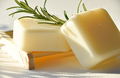 Nettle Shampoo Bar and Rosemary Conditioner Bar Duo (two bars)